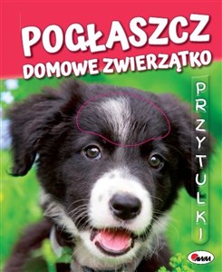 Obrazek Pogłaszcz domowe zwierzątko Przytulki