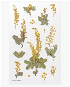 Polska książka : Naklejki o...