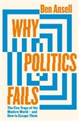 Why Politi... - Ben Ansell -  fremdsprachige bücher polnisch 