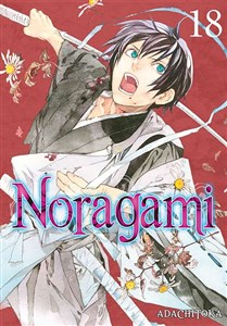 Obrazek Noragami. Tom 18