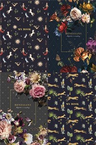 Bild von Brulion B5/80K kratka Renessans ASTRA