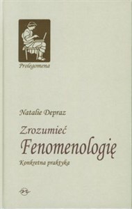 Bild von Zrozumieć Fenomenologię