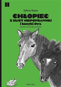 Obrazek Chłopiec z ulicy Niepoprawnej i kucyki dwa
