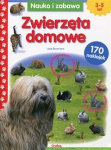 Obrazek Zwierzęta domowe  Nauka i zabawa 3-5 lat