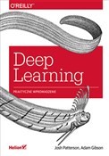 Deep Learn... - Patterson Josh, Gibson Adam -  polnische Bücher