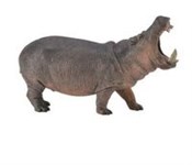 Hipopotam -  fremdsprachige bücher polnisch 