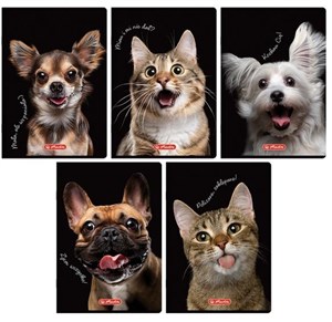 Obrazek Zeszyt A5/80K kratka z marginesem Animal (5szt)