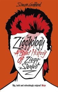 Obrazek Ziggyology