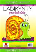 Książka : Labirynty ... - Agnieszka Wileńska