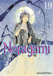 Obrazek Noragami. Tom 19