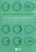 Książka : Zarys orga... - Zofia Bielańska-Osuchowska