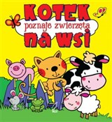 Kotek pozn... - Urszula Kozłowska -  fremdsprachige bücher polnisch 
