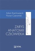 Zarys anat... - Adam Krechowiecki, Florian Czerwiński -  Książka z wysyłką do Niemiec 