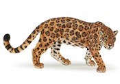Jaguar - Ksiegarnia w niemczech