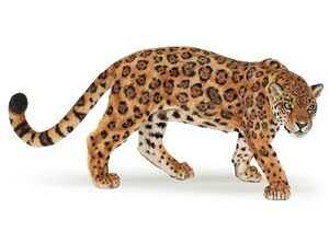 Obrazek Jaguar