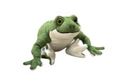 Żaba 28cm -  Polnische Buchandlung 