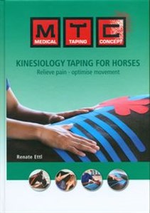 Bild von Kinesiology taping for horses