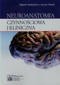 Bild von Neuroanatomia czynnościowa i kliniczna Podręcznik dla studentów i lekarzy