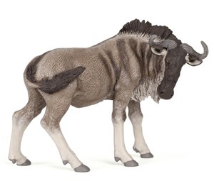 Obrazek Antylopa Gnu