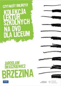 Obrazek Brzezina z cyklu „Kolekcja lektur szkolnych na DVD dla liceum”