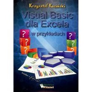 Bild von Visual Basic dla Excela w przykładach
