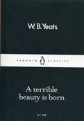 A Terrible... - W.B. Yeats - Ksiegarnia w niemczech