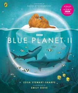 Bild von Blue Planet II