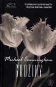 Godziny - Michael Cunningham -  polnische Bücher