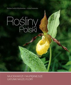 Bild von Rośliny Polski