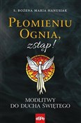 Polska książka : Płomieniu ... - Bożena Maria Hanusiak