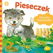 Pieseczek - Urszula Kozłowska, Kazimierz Wasilewski -  fremdsprachige bücher polnisch 