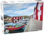 Puzzle Fis... -  polnische Bücher