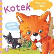 Polnische buch : Kotek miau... - Wiesław Drabik, Agata Nowak