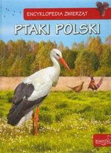 Bild von Encyklopedia zwierząt Ptaki Polski