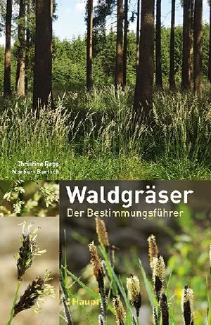 Obrazek RAPP, C: WALDGRÄSER