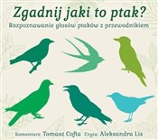 [Audiobook... - Tomasz Cofta, Aleksandra Lis -  fremdsprachige bücher polnisch 