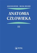 Anatomia c... - Adam Bochenek, Michał Reicher -  fremdsprachige bücher polnisch 