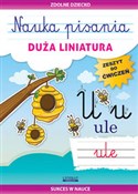 Zeige Details für Nauka pisania Duża liniatura Zeszyt do ćwiczeń. Sukces w nauce Nauka pisa... - Beata Guzowska - buch auf polnisch