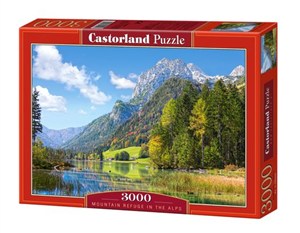Bild von Puzzle Moutain refuge 3000