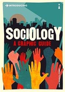 Bild von Introducing Sociology A Graphic Guide