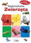 Nauka kolo... - Natalia Kawałko, Elżbieta Wójcik - buch auf polnisch 