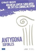 Antygona z... - buch auf polnisch 