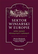 Sektor win... - Maciejczak Mariusz, Gołębiewski Jarosław, Filipiak Tadeusz -  Polnische Buchandlung 