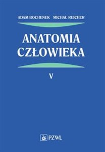 Obrazek Anatomia człowieka Tom 5