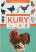 Polnische buch : Kury ozdob... - Paweł Moszczyński