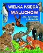 Polska książka : Wielka ksi... - Andrea Bempensante, Ira Rubini