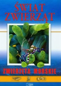 Obrazek Świat zwierząt Zwierzęta morskie