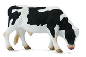 Obrazek Byk Friesian