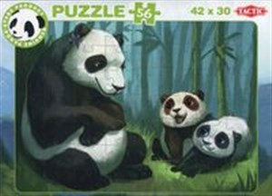 Obrazek Panda Stars Puzzle C 56