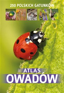 Bild von Atlas owadów